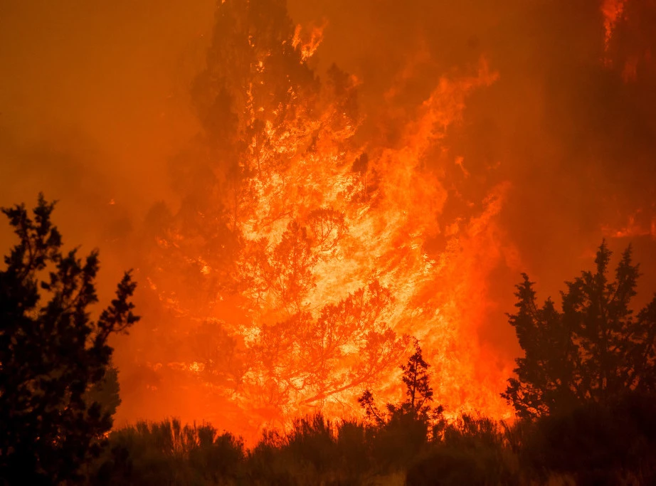 408459_oregon-wildfires_f (1).webp