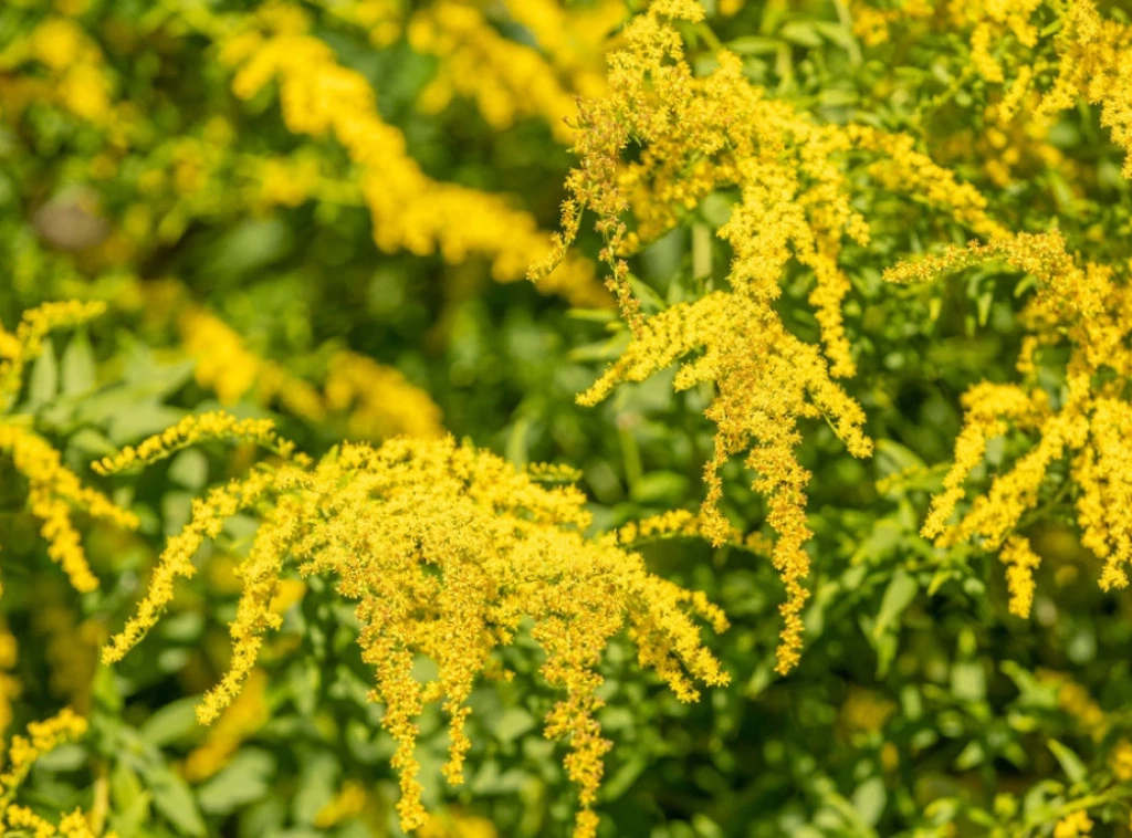 293119_shutterstock-2512160355_f.webp