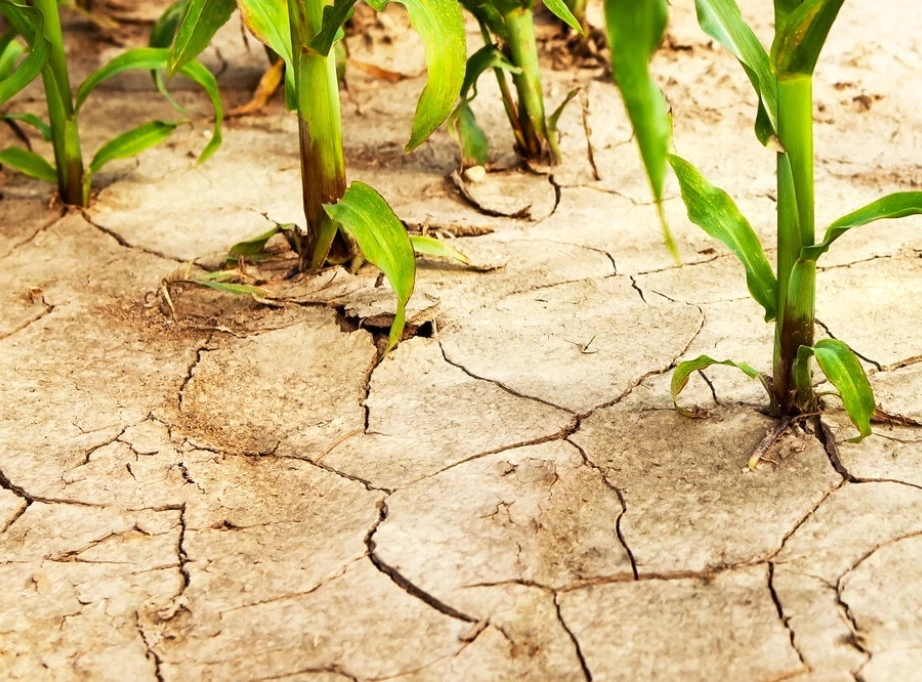 316351_shutterstock-2346011321_f.webp