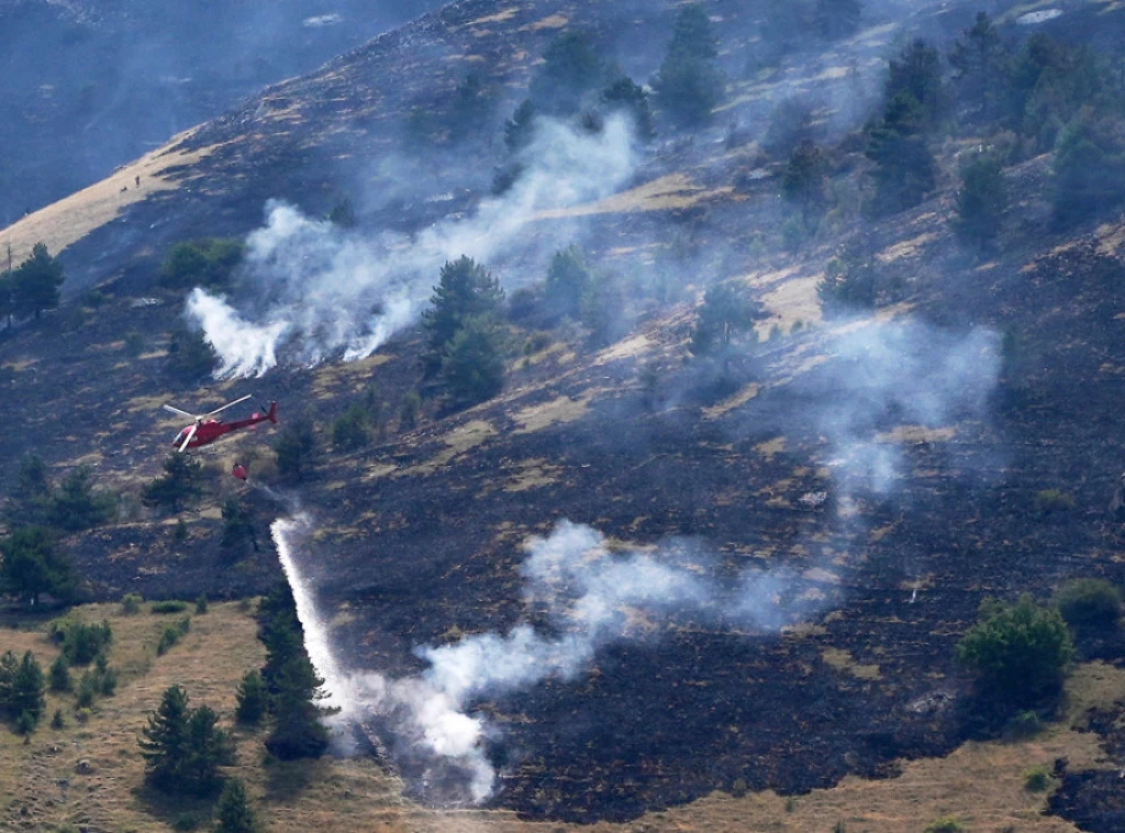 412431_italy-wildfires_f.webp